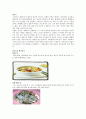 우리나라의 지역별 향토음식 8페이지