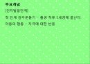 피아제 이론 (프리젠테이션) 보고서 8페이지