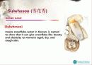 설화수 마케팅전략분석 파워포인트 발표자료 3페이지