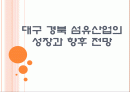 [섬유산업]대구 경북 섬유산업의 성장과 향후 전망 PPT자료 1페이지