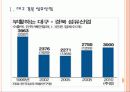 [섬유산업]대구 경북 섬유산업의 성장과 향후 전망 PPT자료 3페이지