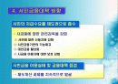 서민금융배제의 형평성 분석 - 서민금융 실태분석 11페이지