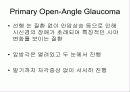 (안과) 개방각녹내장(POAG, primary open angle glaucoma) 9페이지