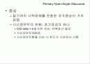 (안과) 개방각녹내장(POAG, primary open angle glaucoma) 11페이지