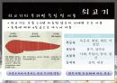 육류에 대해서 ( 부위멸 설명,효능 등등.) 14페이지