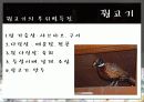 육류에 대해서 ( 부위멸 설명,효능 등등.) 45페이지