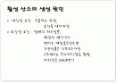 항산화 기능성 식품에 대하여 4페이지