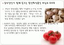 항산화 기능성 식품에 대하여 20페이지