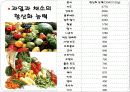 항산화 기능성 식품에 대하여 22페이지