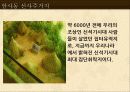 암사 선사주거지 견학 파워포인트 4페이지