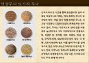 암사 선사주거지 견학 파워포인트 27페이지