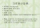 수돗물중 염화이온의 정량 14페이지