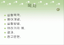 일반화학 밀도와 측정 2페이지
