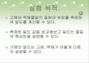 일반화학 밀도와 측정 3페이지