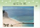 일반화학 밀도와 측정 5페이지