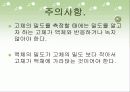 일반화학 밀도와 측정 8페이지