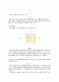 대류전류, 전도전류, 변위전류 4페이지