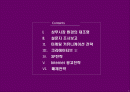 삼푸시장의 No1을 위한 케라시스 마케팅 커뮤니케이션 전략 2페이지