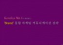 삼푸시장의 No1을 위한 케라시스 마케팅 커뮤니케이션 전략 32페이지