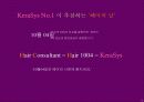 삼푸시장의 No1을 위한 케라시스 마케팅 커뮤니케이션 전략 52페이지