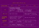 삼푸시장의 No1을 위한 케라시스 마케팅 커뮤니케이션 전략 71페이지