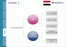 의료기산업 해외진출 stp 4p 마케팅전략  25페이지