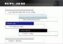 글로벌 브랜드 나이키의 마케팅 전략  13페이지