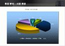 글로벌 브랜드 나이키의 마케팅 전략  14페이지