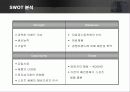 글로벌 브랜드 나이키의 마케팅 전략  15페이지