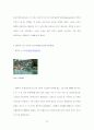 세계의 대지진 36페이지