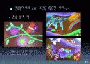 새롭게 떠오르는 조명 LED (Light Emitting Diode) 13페이지