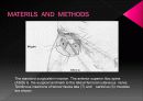 Anatomicl  Variability of the Laterl  Femoral  Cutneous  Nerve : Findings From a Surgical Series 8페이지