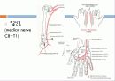   elbow joint disorser  9페이지