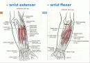   elbow joint disorser  11페이지