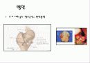  hip joint disorder 19페이지