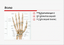 :  Wrist & hand disorder  2페이지