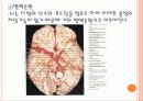 뇌졸중(Stroke) 7페이지