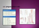 추간판탈출증 9페이지
