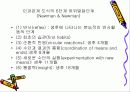 인간발달과 사회복지실천(영유아기의 이해) 파워포인트 PPT자료 9페이지