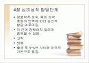 정신분석이론 PPT 프리젠테이션 파워포인트 19페이지