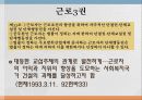 사회적기본권 에대한 모든것 45페이지