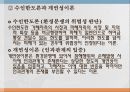 사회적기본권 에대한 모든것 85페이지