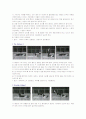 [필라테스 운동에 대하여 정리(운동과 건강)] 5페이지