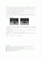 [필라테스 운동에 대하여 정리(운동과 건강)] 6페이지