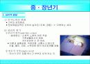 (인행사)중장년층 발달과제와 사회문제, 대한민국의 아버지 PPT 프리젠테이션 6페이지