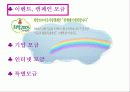 (지역사회복지론) 사회복지 공동모금회 문제점 및 개선방향 PPT 프레젠테이션 27페이지