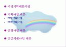 (지역사회복지론) 사회복지 공동모금회 문제점 및 개선방향 PPT 프레젠테이션 30페이지