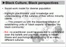 문화, 민족성, 동일성(Culture, Ethnicity and Identity) 영문 PPT 보고서 11페이지