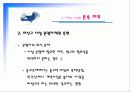 미신고시설의 현황과 문제점 및 개선방안 PPT 프리젠테이션 8페이지