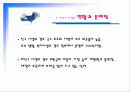 미신고시설의 현황과 문제점 및 개선방안 PPT 프리젠테이션 15페이지